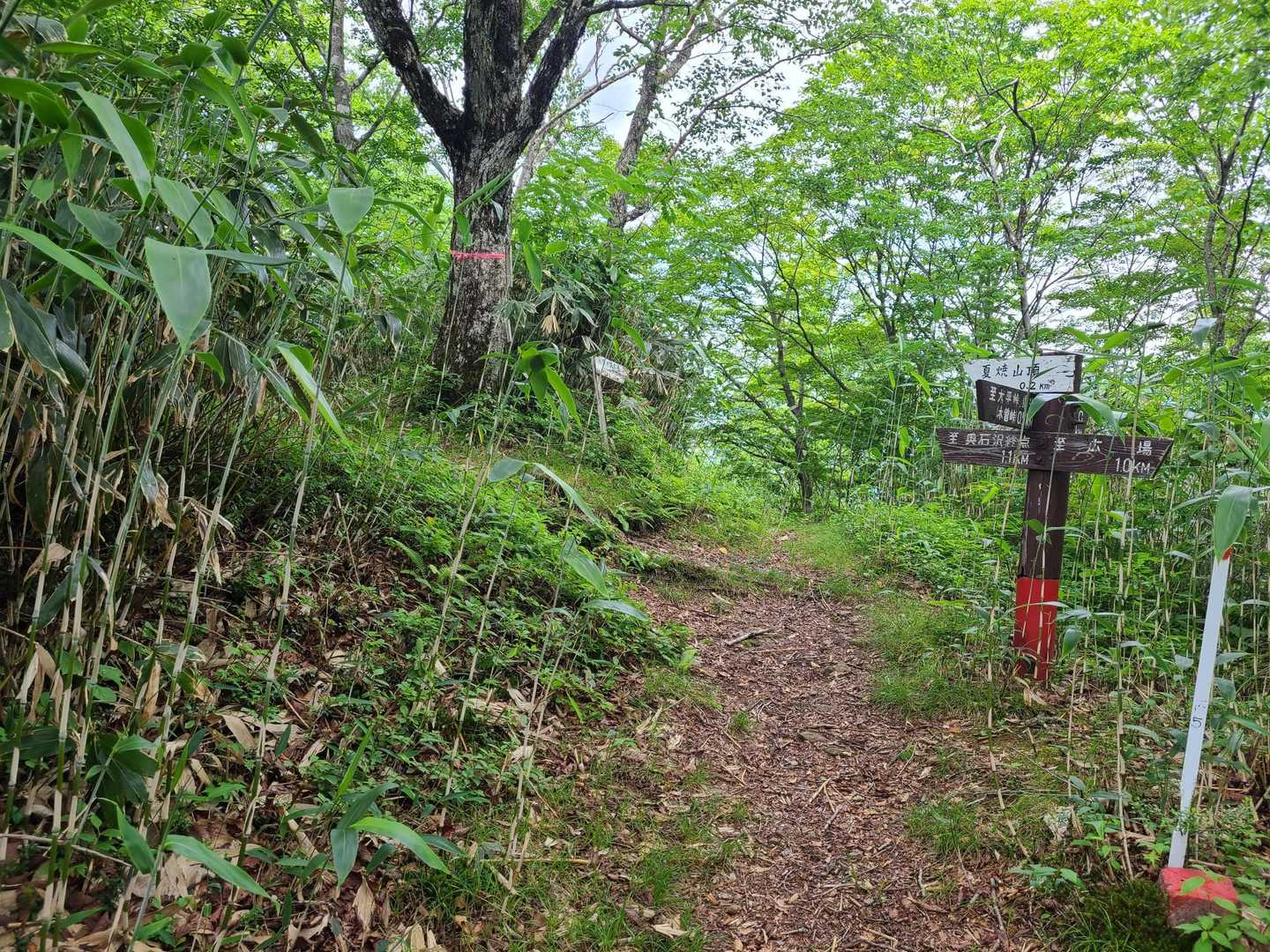 急登続きで山友さんバテ気味🙇‍♂️💦