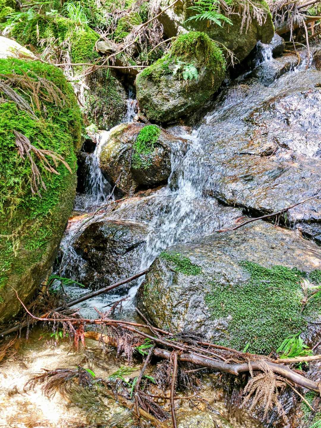 岩伏山 周回コースの写真