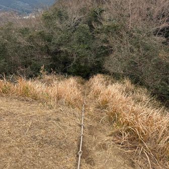 ここを降ります↘️