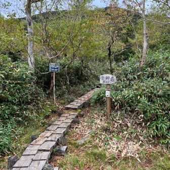 小田越。こちらは薬師岳