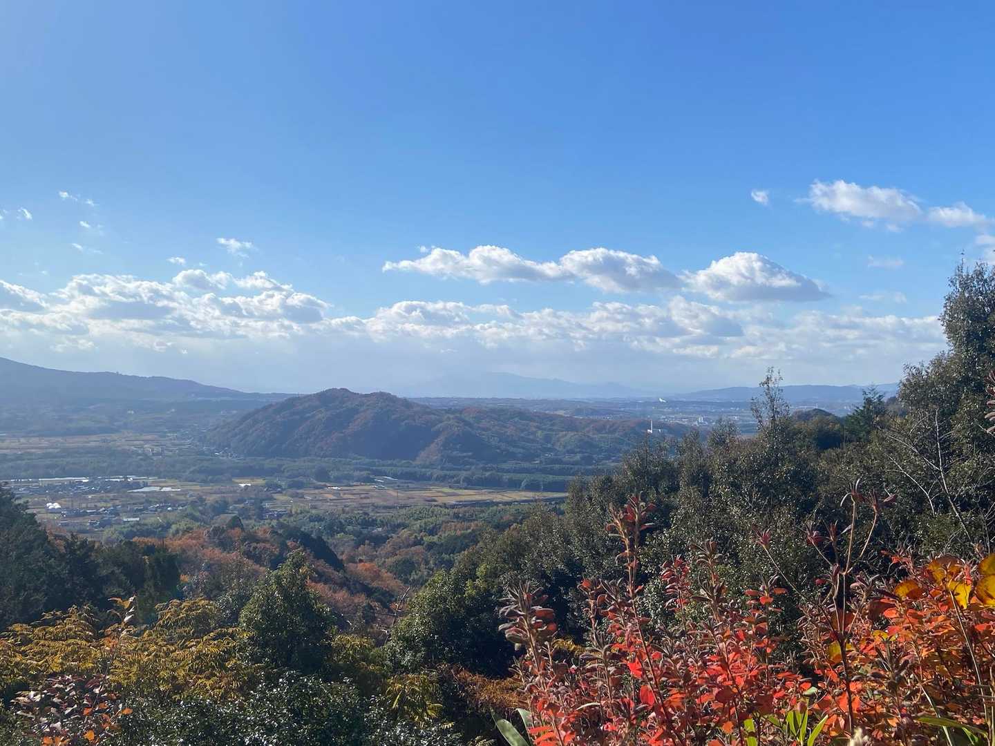 三上山 往復コースの写真