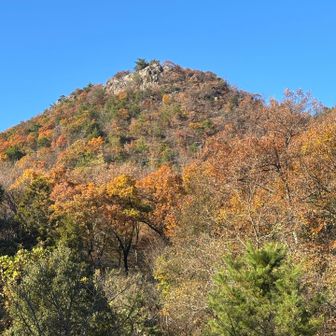 槍を下から見上げる👀

あそこはとても気に入りました🥰
ロードをてくてく🚶‍♀️