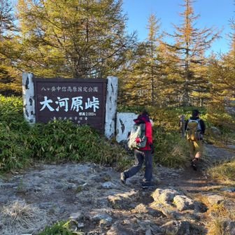 霜が降りてる