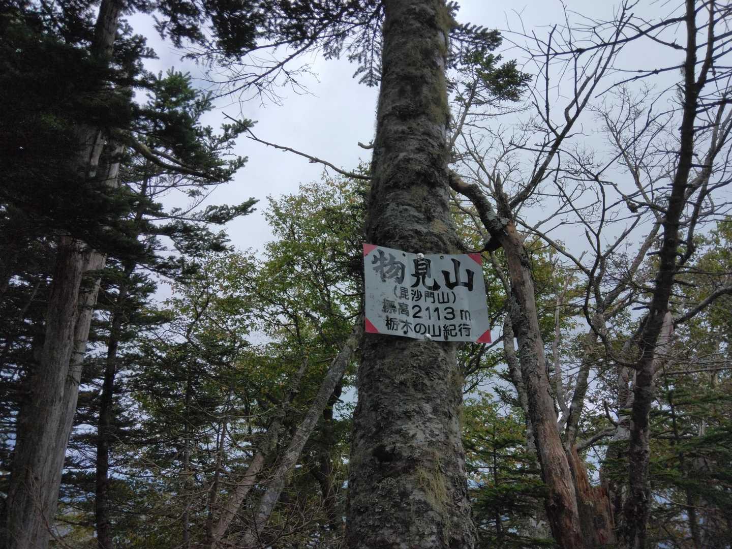 物見山～って言う程見晴らしは良くない