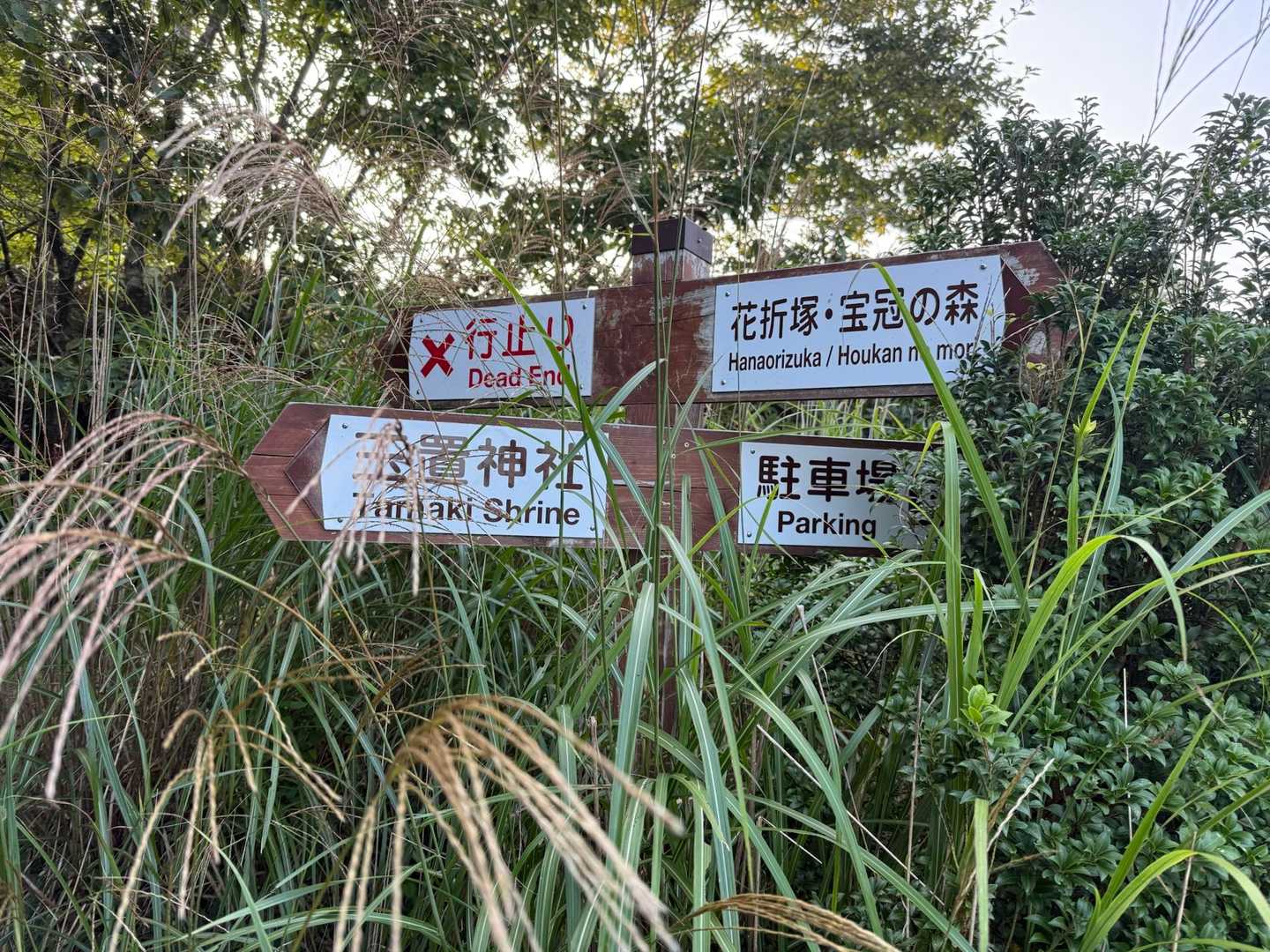 無事に玉置神社⛩️の参拝も終えて今日はおしまい
十津川のホテルへ