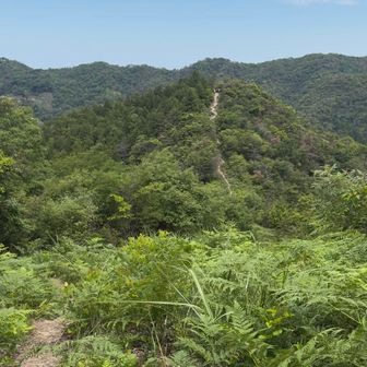 アップダウン繰り返しての下山〜😅