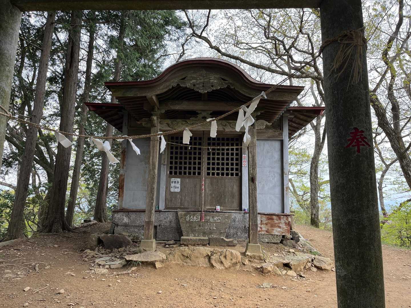 笠山神社上社 花の写真ばかりでなく祠を探さないと🧐