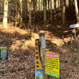 竜王山登山口　急登スタート