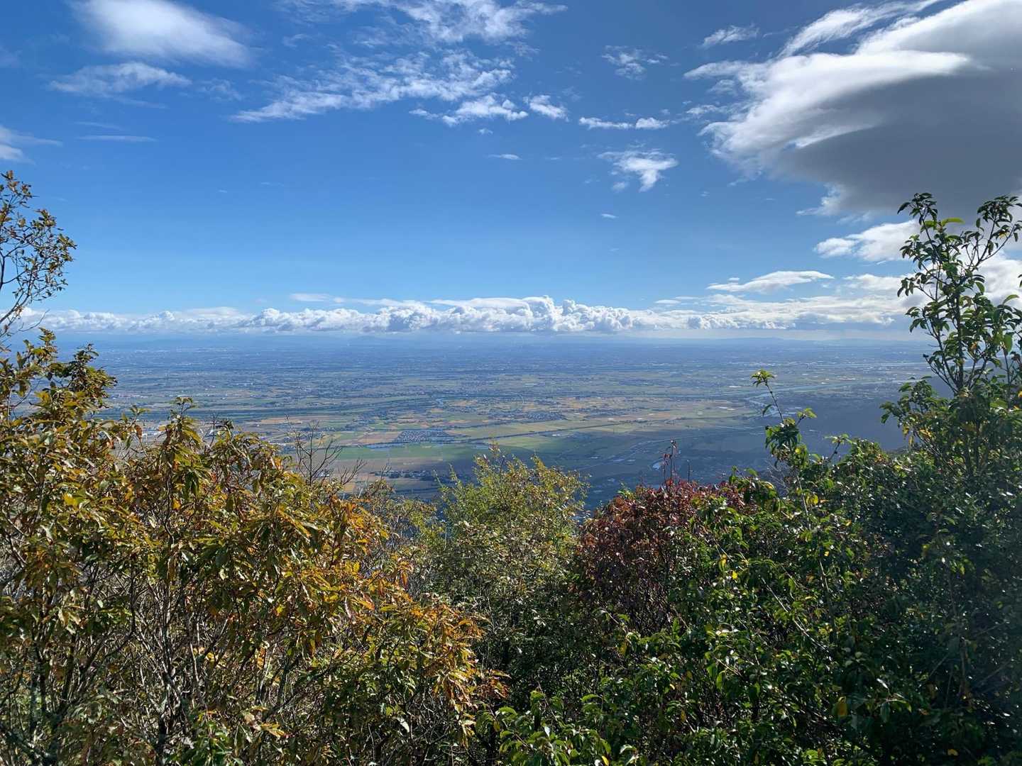 三方山-小倉山-養老山-北尾根P826峰 周回コースの写真