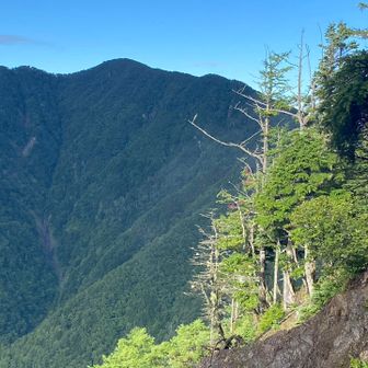 中央がきっと大無間山