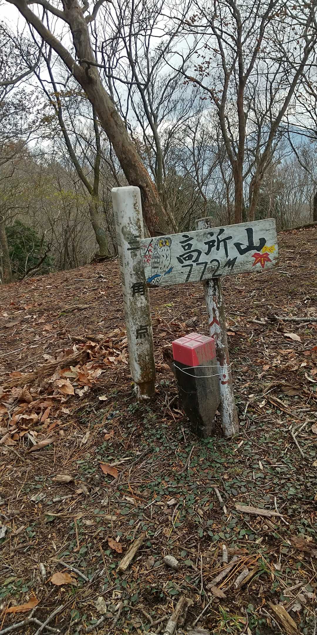 適当に縛っておきました😊