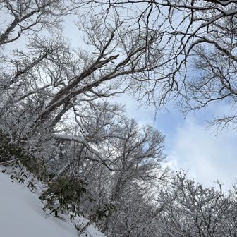 この斜面、しんどいです