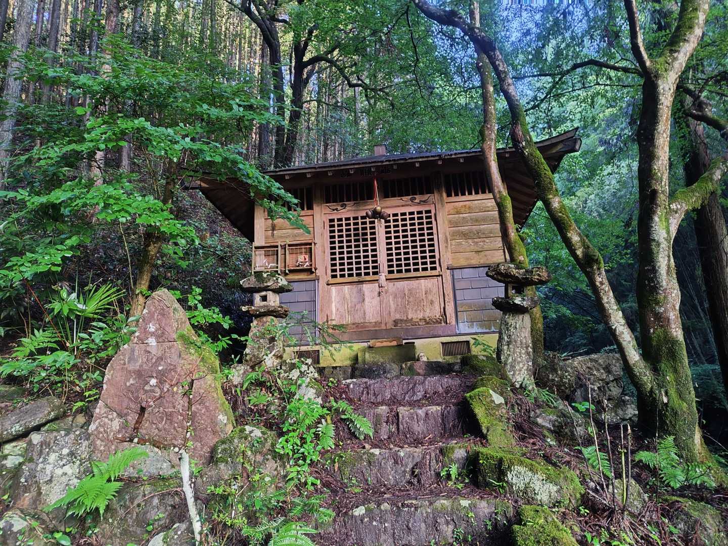 頑張って登ります♪