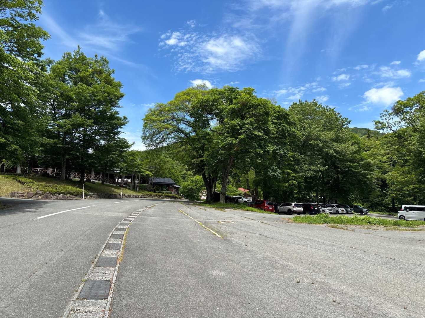 駐車場🅿️
平日なのに、この時期はいっぱい🈵
お天気考えると今日なら、人多いと思ってたのよ
これなら熊🐻も安心