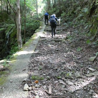 ちょっと山道チックになりました