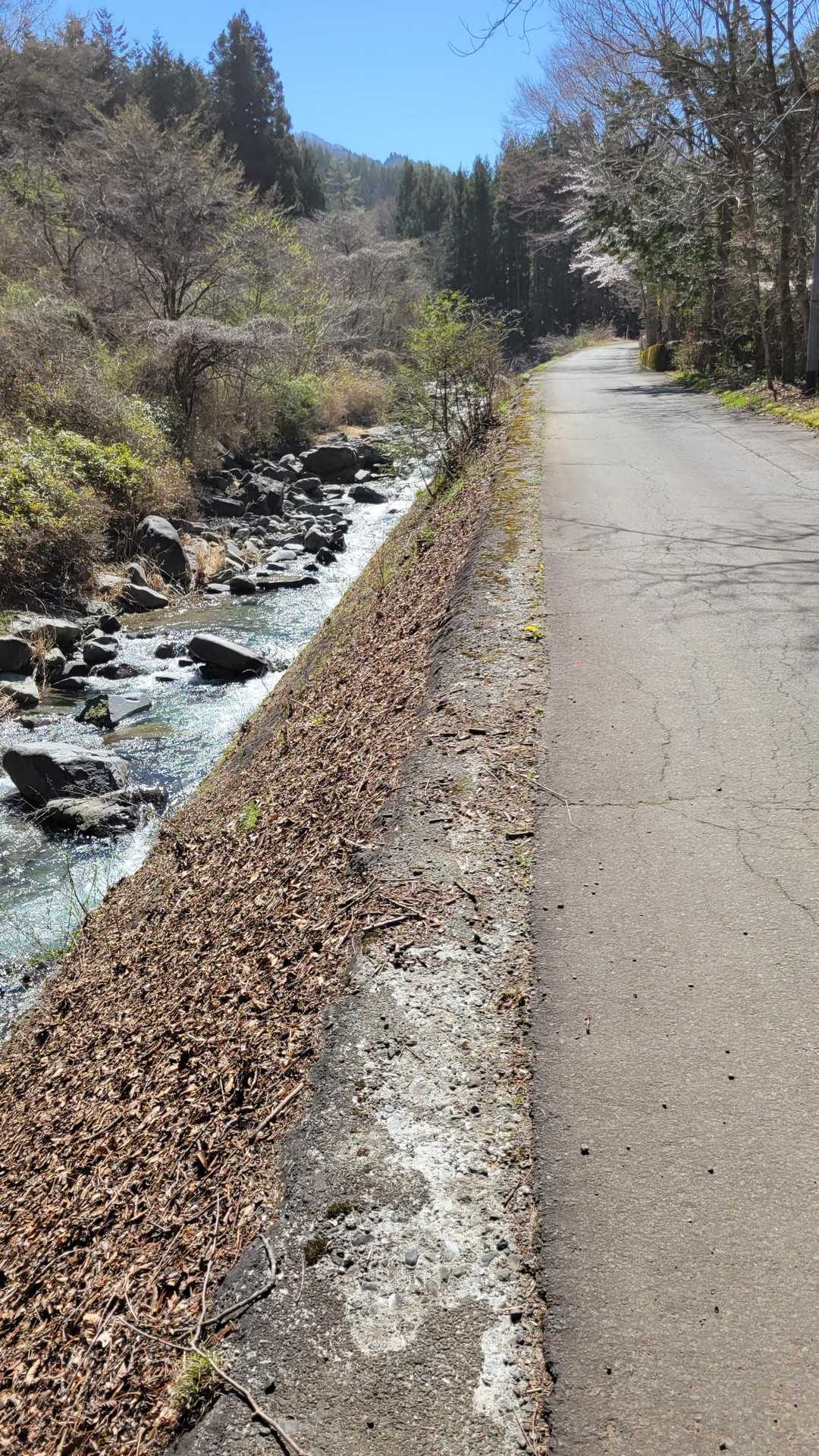川沿いに先ずはキャンプ場を目指します🚶