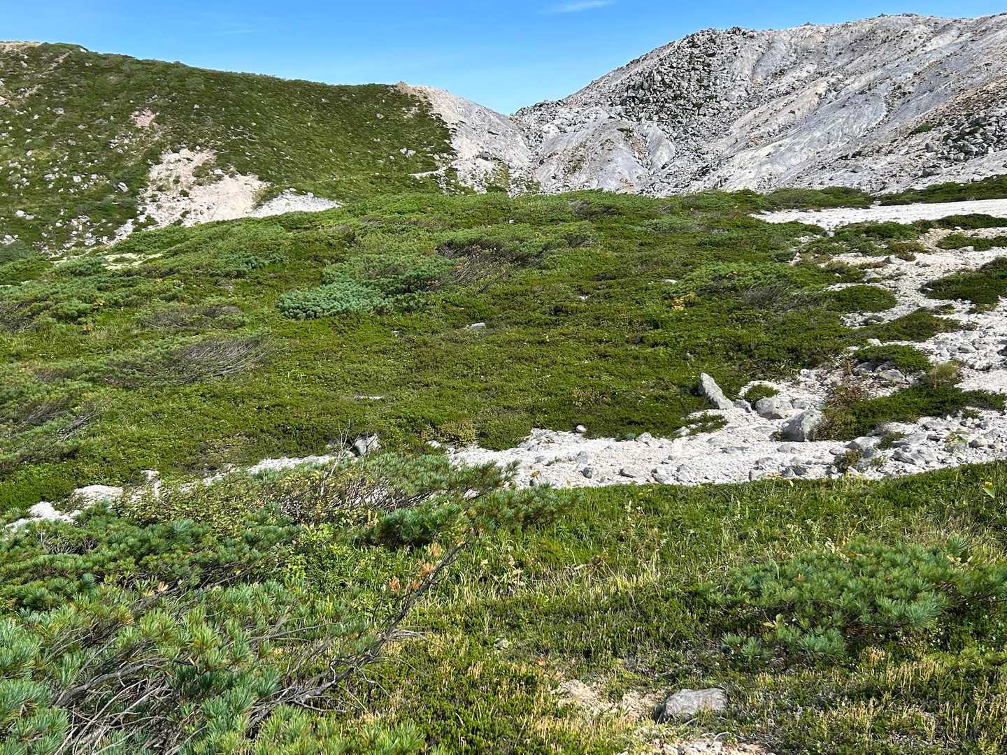 ニセコアンヌプリ登山口-ニセコアンヌプリ-イワオヌプリ 周回コースの写真