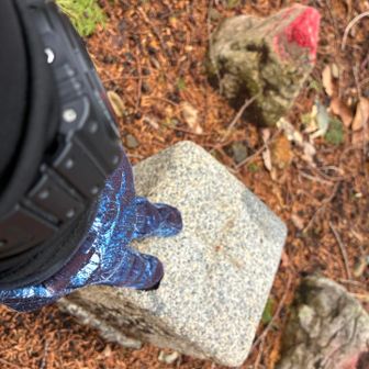 チュ〜ト半端な場所に三角点有りました✌️