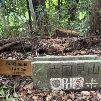 なぜ麻雀牌なのか…1.4.7って標高か。