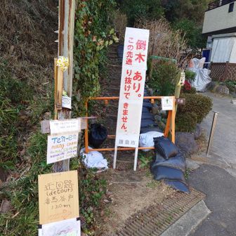 ここが通行止めの出口です。
このせいで随分な体験をさせていただきました😭

【追記】
なんと、この後同日にここを通過したYAMAPユーザーがいました。強者ですね😅