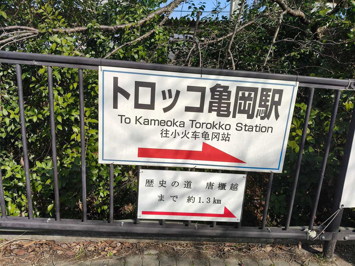 馬堀駅から降りる人がたくさんでしたがトロッコ電車に乗る人だった