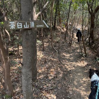 山頂って言われるとすぐと思って安堵感