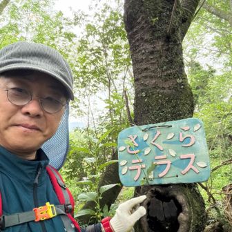 阿部倉山の桜テラス。