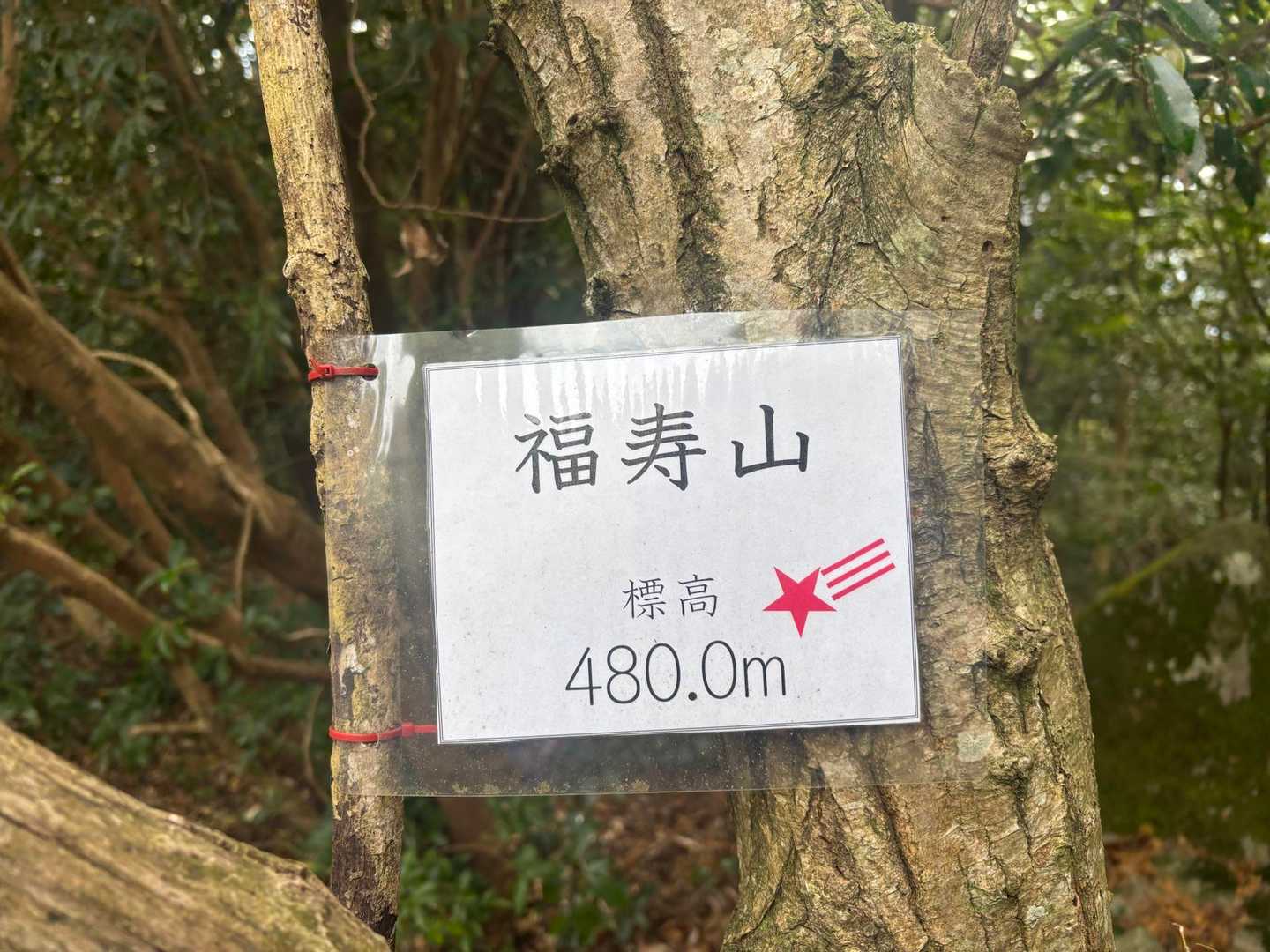 三座目は福寿山か