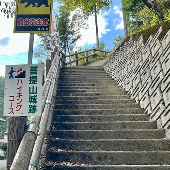 おしまい　山頂付近で何組かの皆さんとすれ違い安心しましたが、途中までは熊にビビりながら登り始めていました