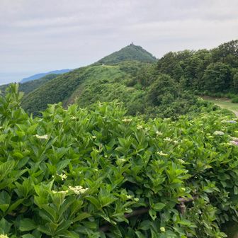 ヤバ😅
自販機まで来たのにお金持ってなかった