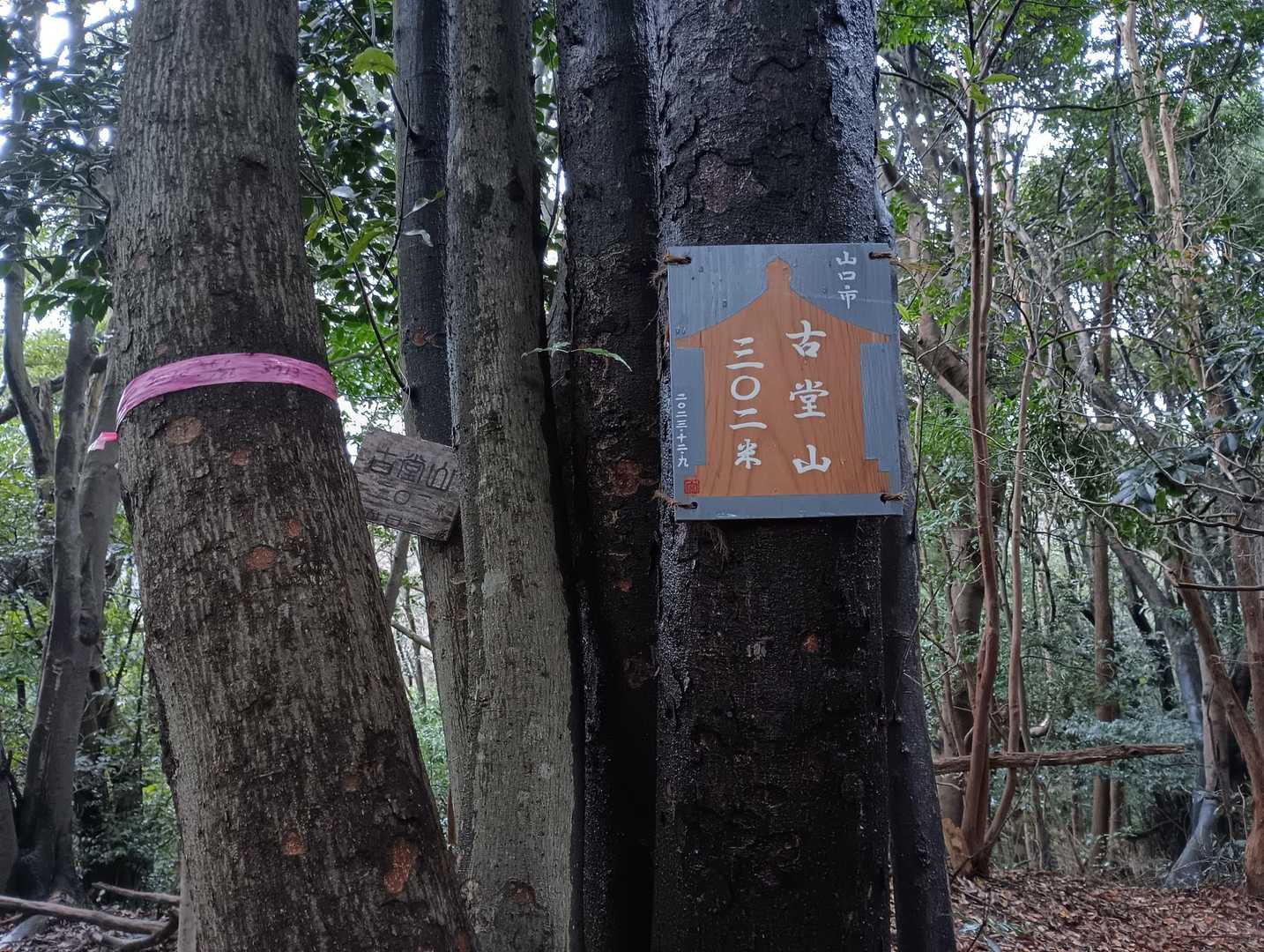 二座目、古堂山。