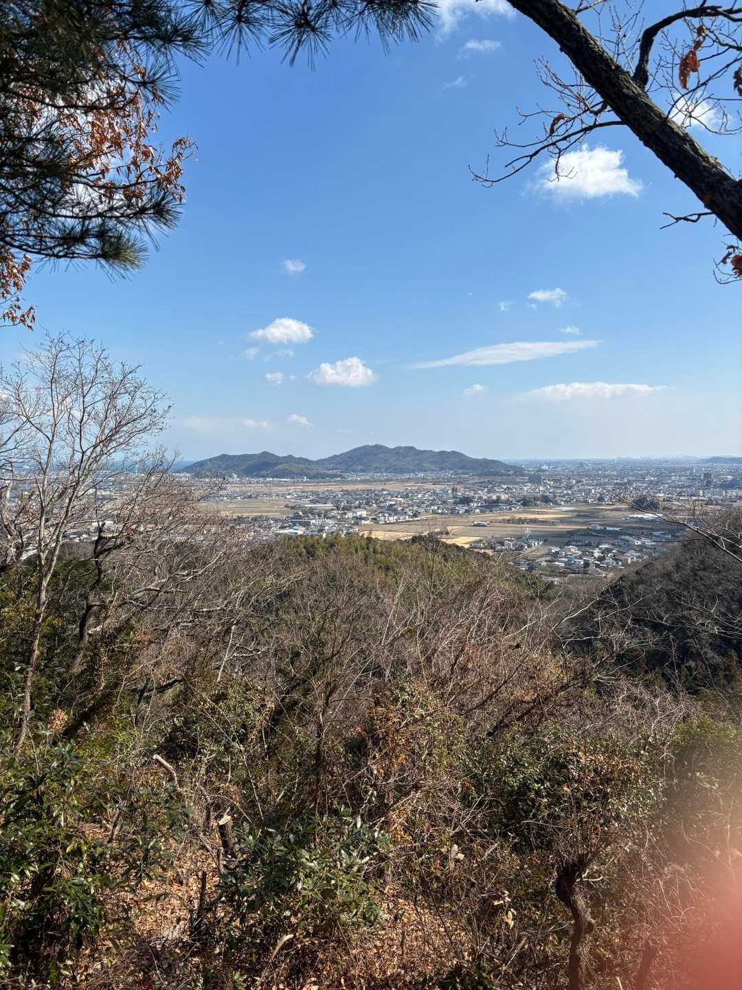 向寺山 周回コースの写真