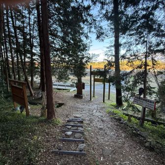 降りてきましたー
ワンコのお迎えにちょうどいい時間