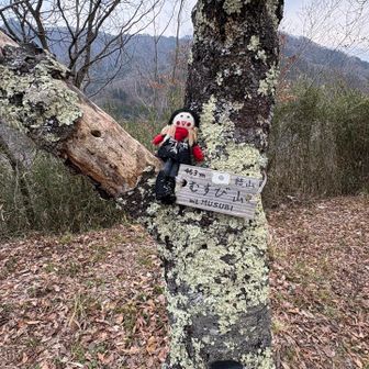 むすび山（結び山）　463m