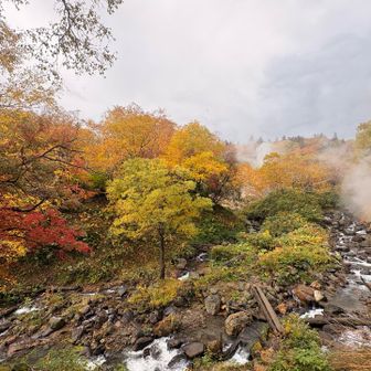 この風情がたまらなく好き！
太陽よ…頑張ってくれ🙏