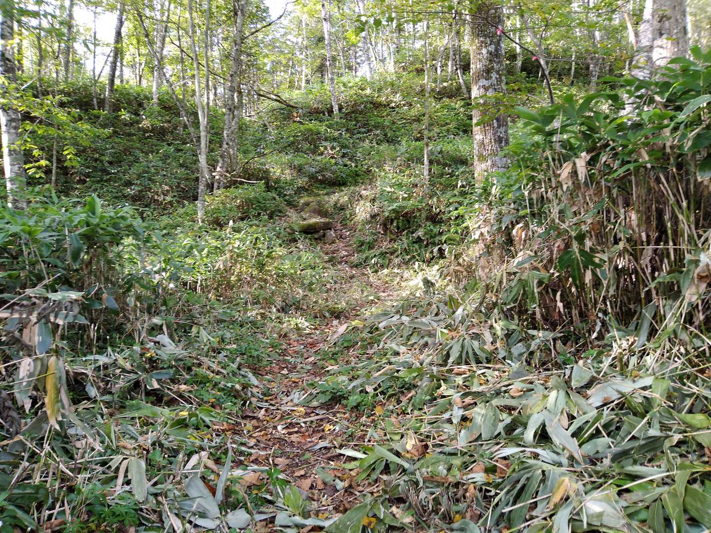 これは助かります
ありがとうございます