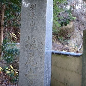 お寺に降りてきました。