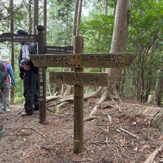 ここが横垣峠頂上