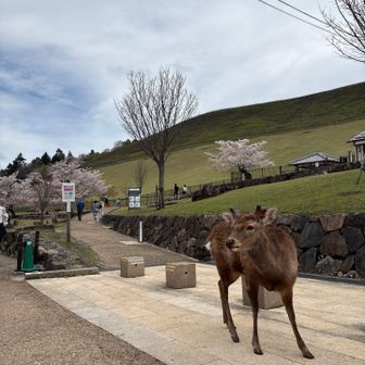 こんにちは〜登らせて頂きますね〜🙏🏻