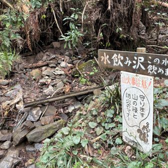 安易な名前をつけてはいけない例