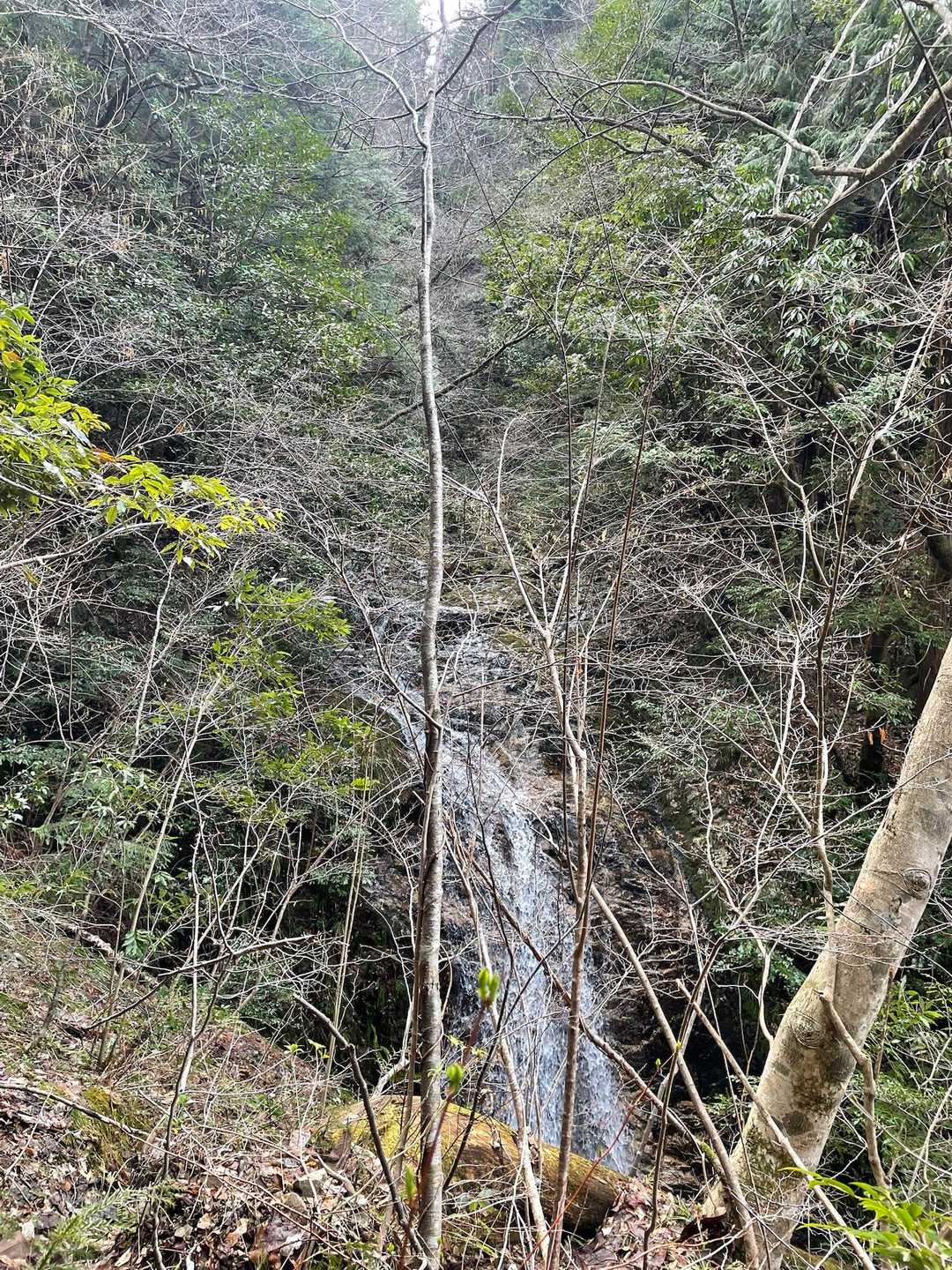 滝も沢山