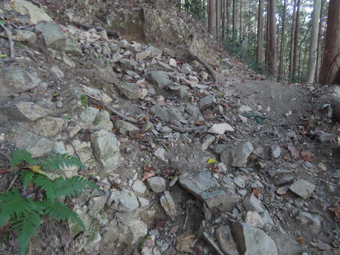 おびただしい小石、
蹴落とさないよう、転ばぬように、