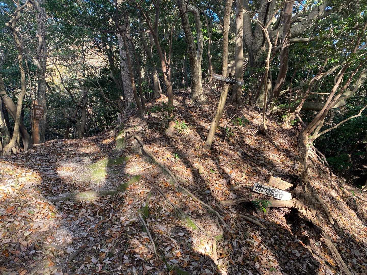 左は東谷へ、右は鐘撞山へ。
周船寺へは真ん中の尾根をいく感じですが、まず右へ行ってから尾根に登り上がるのです。
途中小さな標識が下の方にあり分かりづらいです。
（写真を撮り忘れ）


