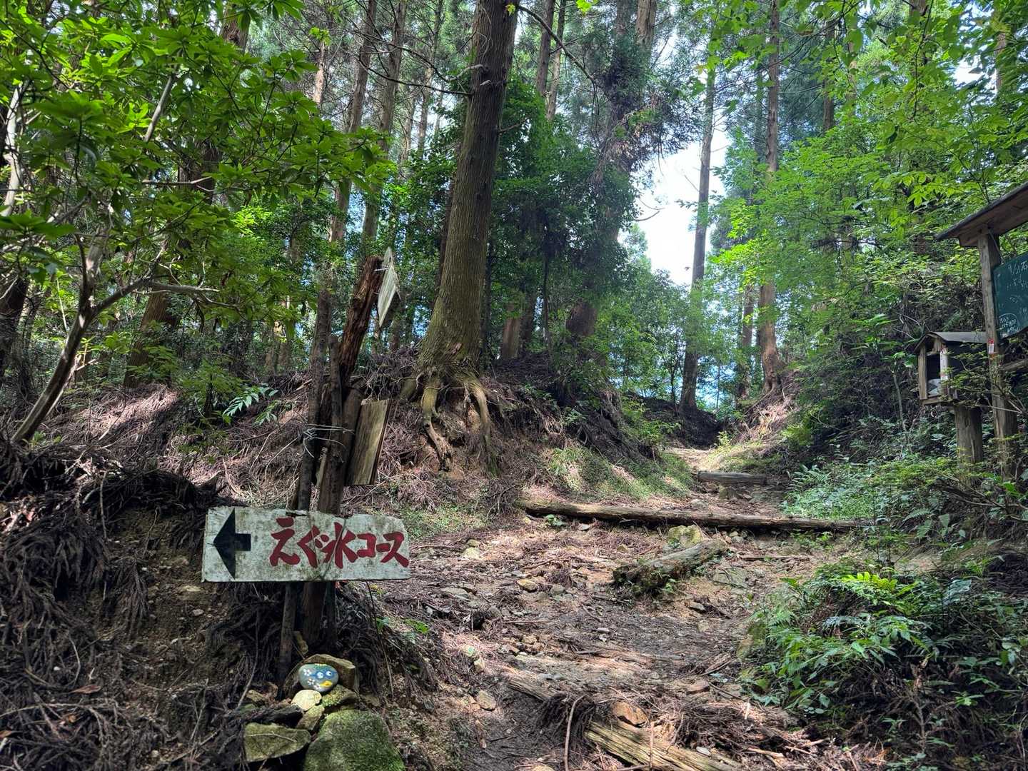 鷹取山周回コース | 耳納連山の東端から街と山並みを一望の写真
