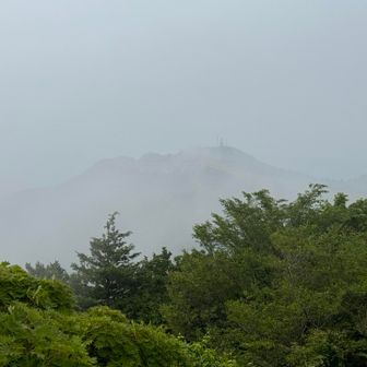 到着時は真っ白でしたが…