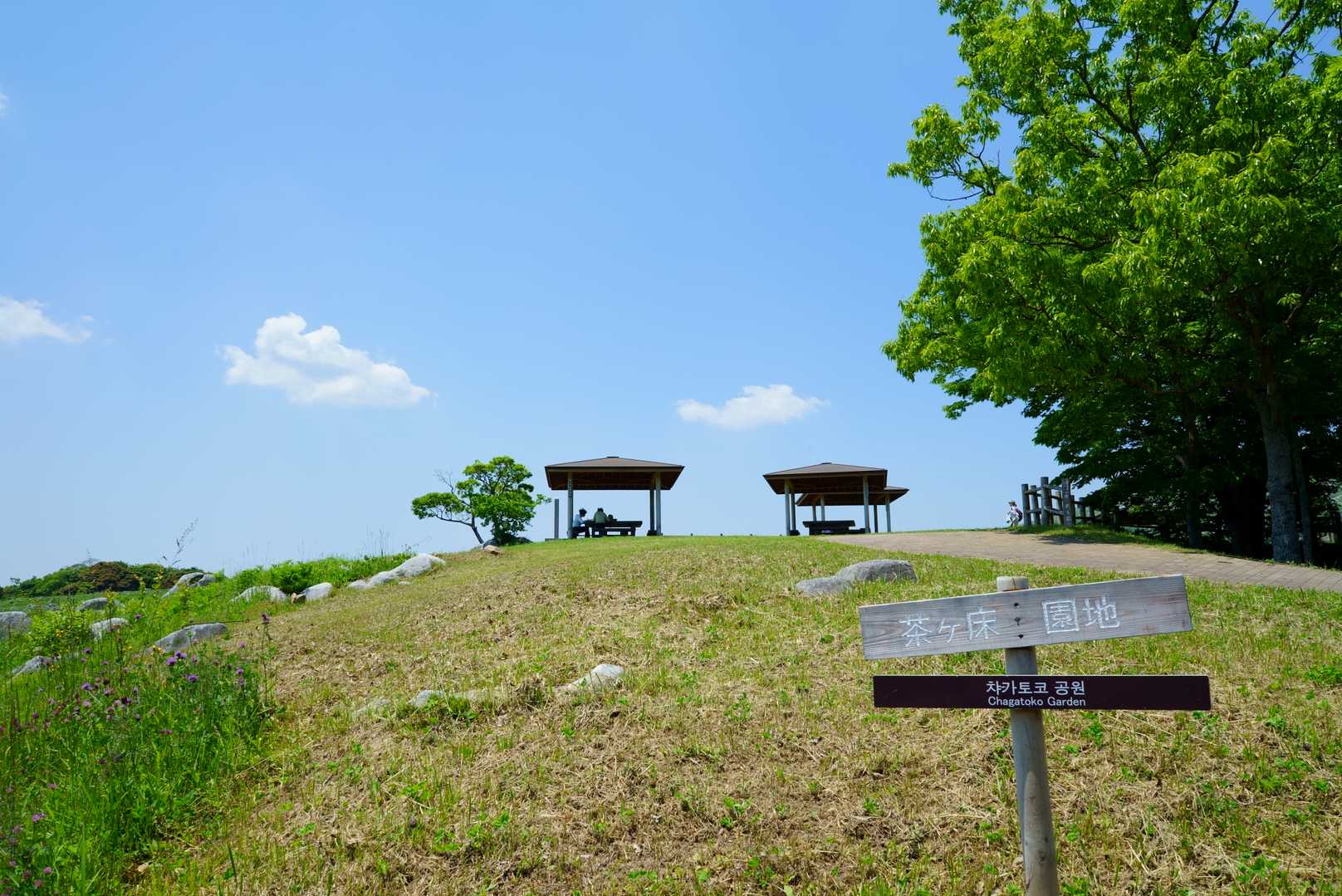 茶ヶ床園地の駐車場からスタート✨
駐車スペースはたくさんありますが、ほぼ満車でした。