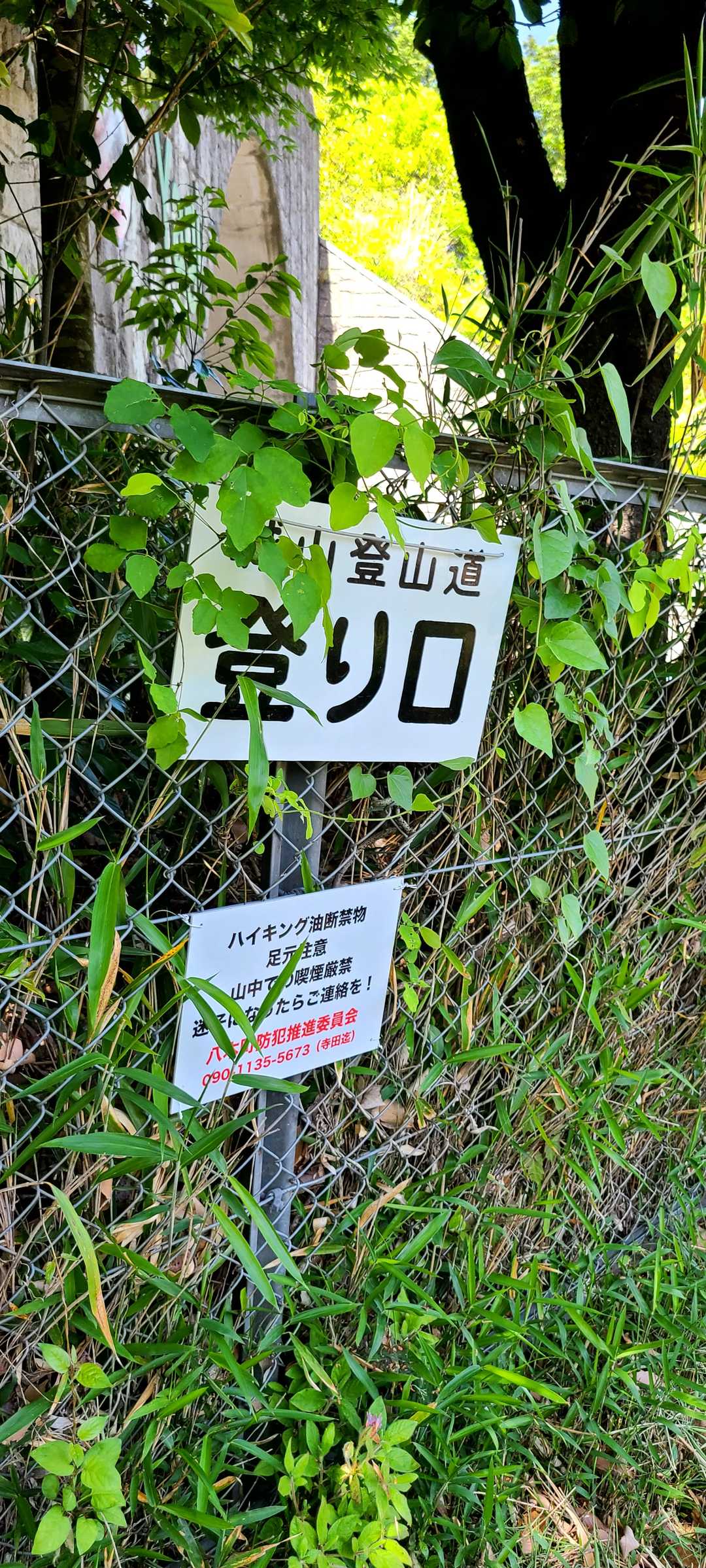 城山 周回コースの写真