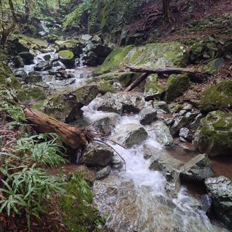 ここまで下ると、沢の水がだいぶ透明になりましたが、ところどころに泥水が溜まっています

もう少し歩いて駐車場に到着
駐車場には数台の車が止まっていました
これから登り始める方がいらっしゃったので、少しお話してから、出発しました

登山者とは、この方としか出会わず、静かな一人旅となりました😊