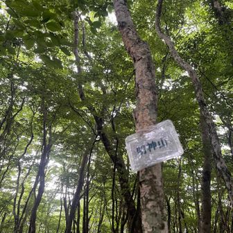 明神山到着