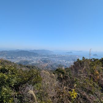 コーヒー飲みながら景色を拝む。本日最高の瞬間。